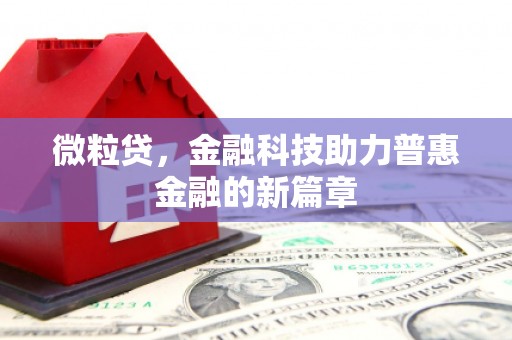 宽甸微粒贷，金融科技助力普惠金融的新篇章