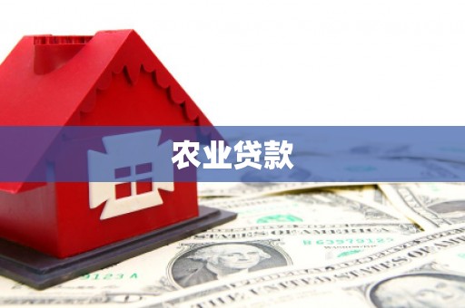 宽甸农业贷款