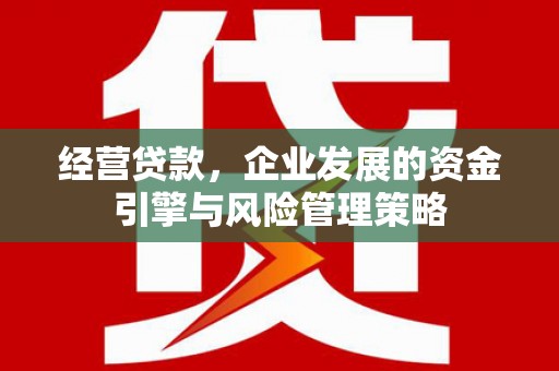 宽甸经营贷款，企业发展的资金引擎与风险管理策略