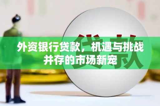 宽甸外资银行贷款，机遇与挑战并存的市场新宠