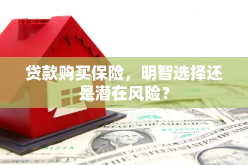 宽甸贷款购买保险，明智选择还是潜在风险？