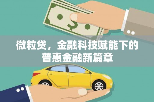 宽甸微粒贷，金融科技赋能下的普惠金融新篇章