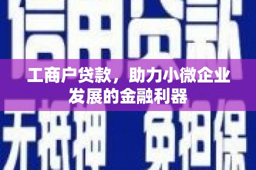 宽甸工商户贷款，助力小微企业发展的金融利器