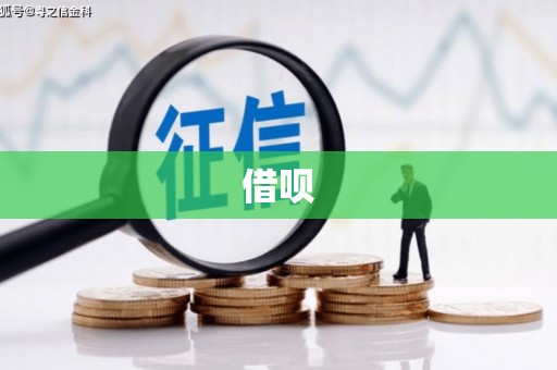 宽甸借呗