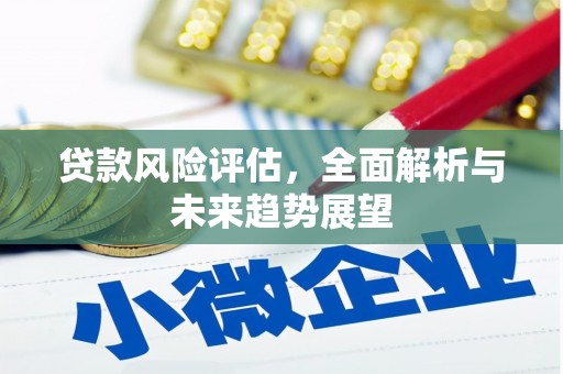 宽甸贷款风险评估，全面解析与未来趋势展望