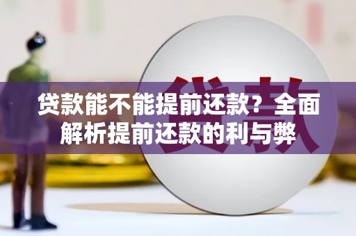 宽甸贷款能不能提前还款？全面解析提前还款的利与弊