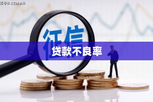 宽甸贷款不良率