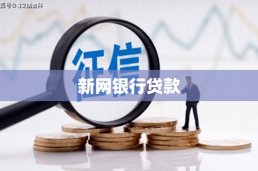 宽甸新网银行贷款