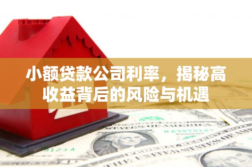 宽甸小额贷款公司利率，揭秘高收益背后的风险与机遇