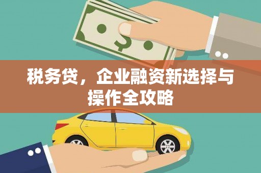 宽甸税务贷，企业融资新选择与操作全攻略