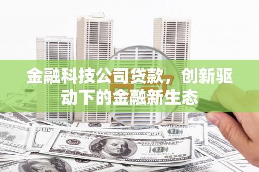 宽甸金融科技公司贷款，创新驱动下的金融新生态