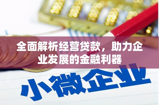 宽甸全面解析经营贷款，助力企业发展的金融利器
