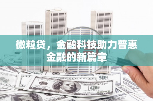 宽甸微粒贷，金融科技助力普惠金融的新篇章