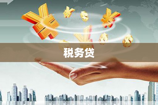 宽甸税务贷