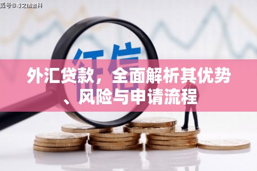 宽甸外汇贷款，全面解析其优势、风险与申请流程