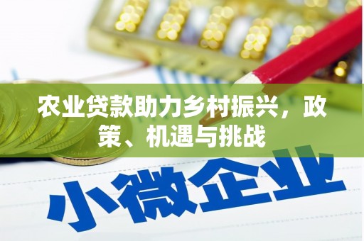 宽甸农业贷款助力乡村振兴，政策、机遇与挑战