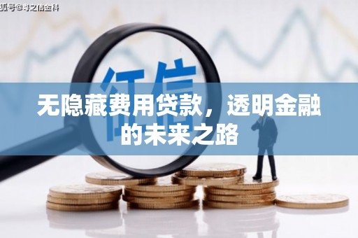 宽甸无隐藏费用贷款，透明金融的未来之路