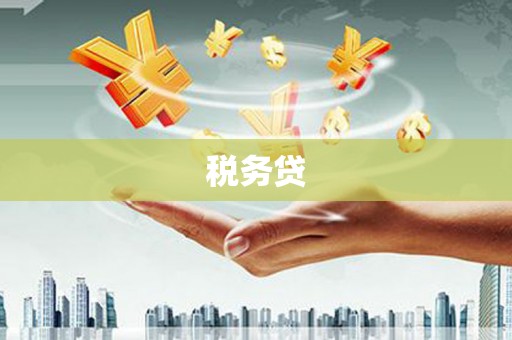 宽甸税务贷