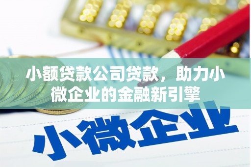 宽甸小额贷款公司贷款，助力小微企业的金融新引擎