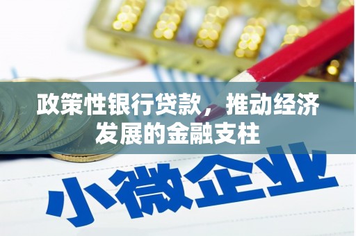 宽甸政策性银行贷款，推动经济发展的金融支柱