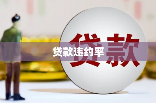 宽甸贷款违约率