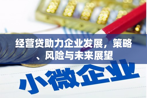 宽甸经营贷助力企业发展，策略、风险与未来展望