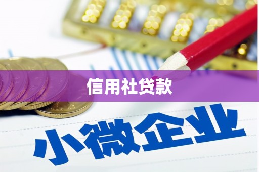 宽甸信用社贷款