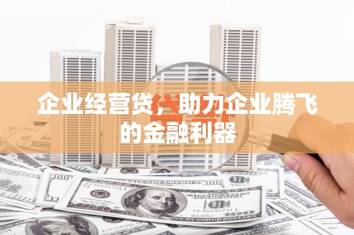 宽甸企业经营贷，助力企业腾飞的金融利器