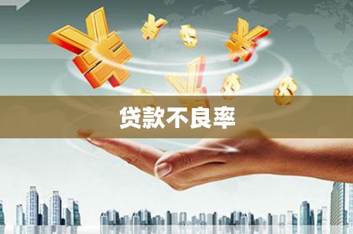 宽甸贷款不良率