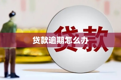 宽甸贷款逾期怎么办