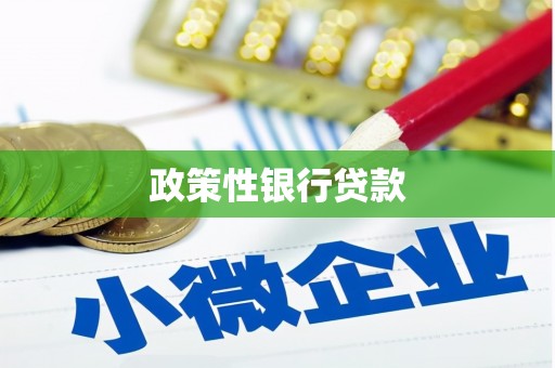 宽甸政策性银行贷款
