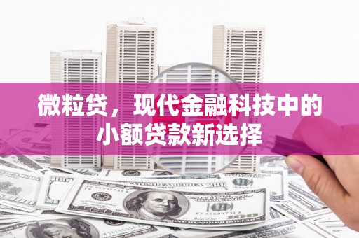 宽甸微粒贷，现代金融科技中的小额贷款新选择