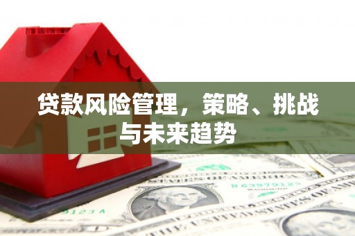 宽甸贷款风险管理，策略、挑战与未来趋势