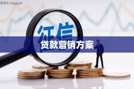 宽甸贷款营销方案