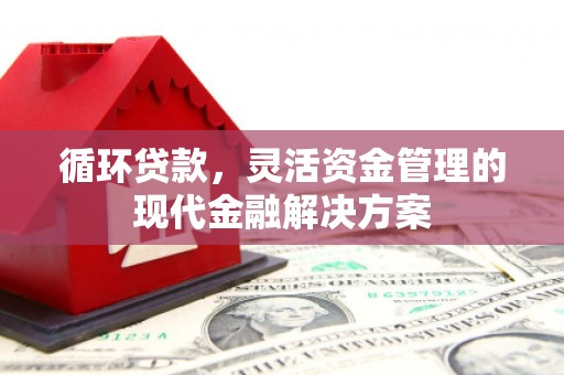 宽甸循环贷款，灵活资金管理的现代金融解决方案