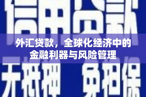 宽甸外汇贷款，全球化经济中的金融利器与风险管理