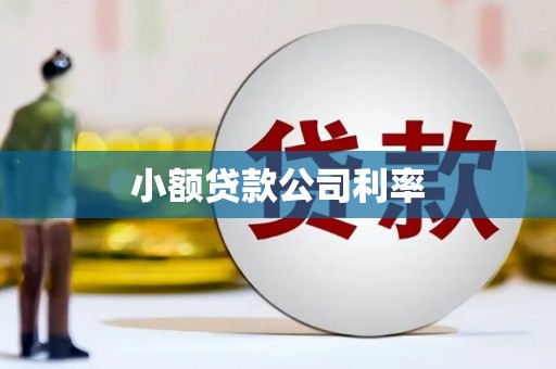 宽甸小额贷款公司利率