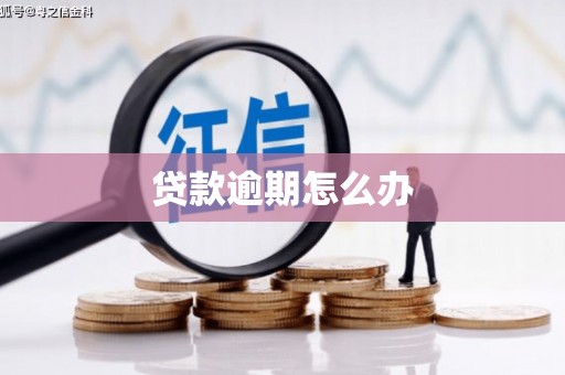 宽甸贷款逾期怎么办