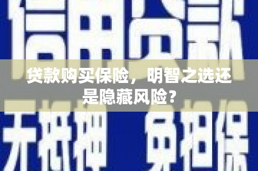 宽甸贷款购买保险，明智之选还是隐藏风险？