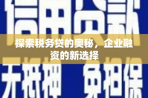 宽甸探索税务贷的奥秘，企业融资的新选择