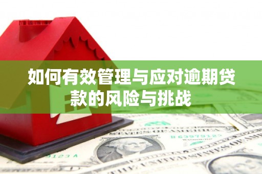 宽甸如何有效管理与应对逾期贷款的风险与挑战