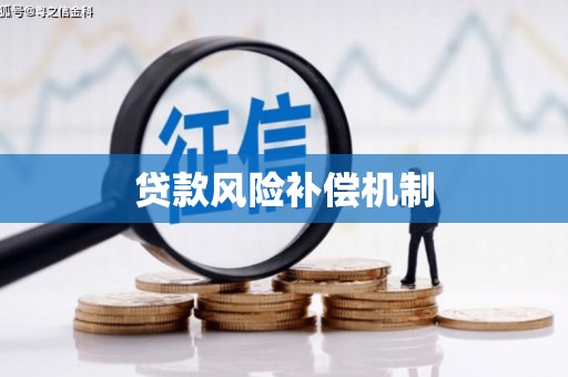 宽甸贷款风险补偿机制
