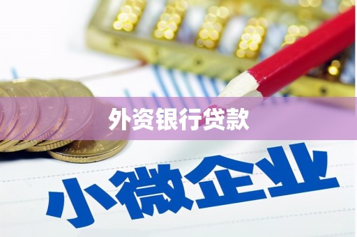 宽甸外资银行贷款