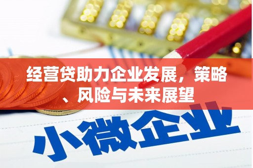 宽甸经营贷助力企业发展，策略、风险与未来展望