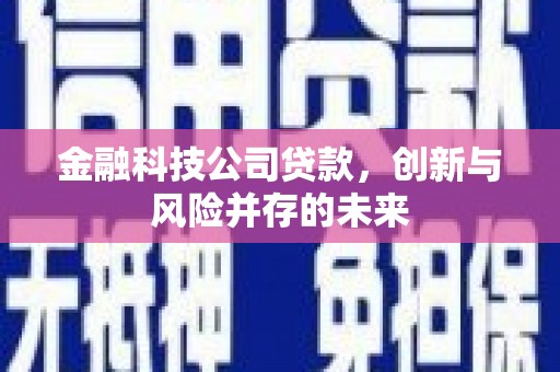 宽甸金融科技公司贷款，创新与风险并存的未来