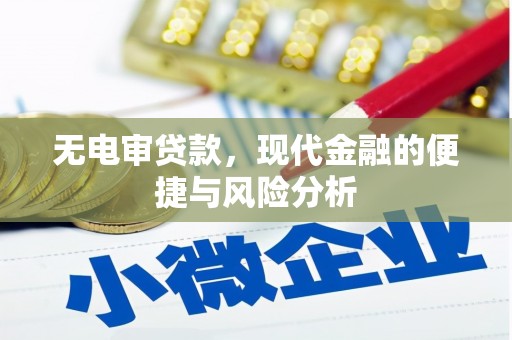 宽甸无电审贷款，现代金融的便捷与风险分析