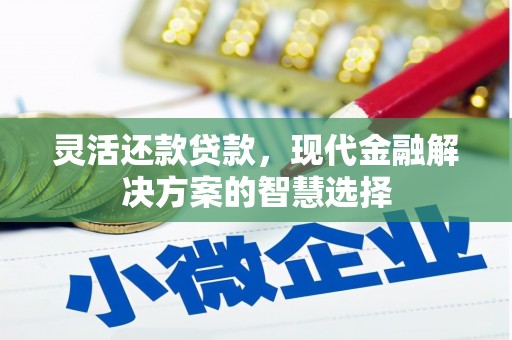宽甸灵活还款贷款，现代金融解决方案的智慧选择