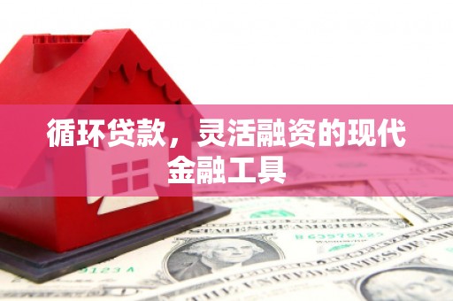 宽甸循环贷款，灵活融资的现代金融工具