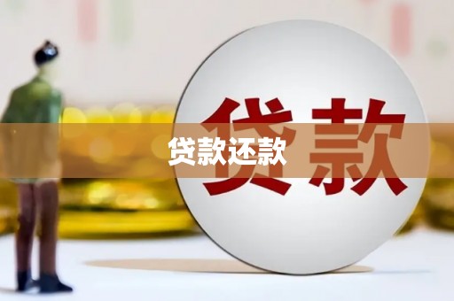 宽甸贷款还款