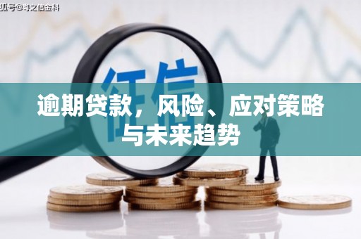 宽甸逾期贷款，风险、应对策略与未来趋势